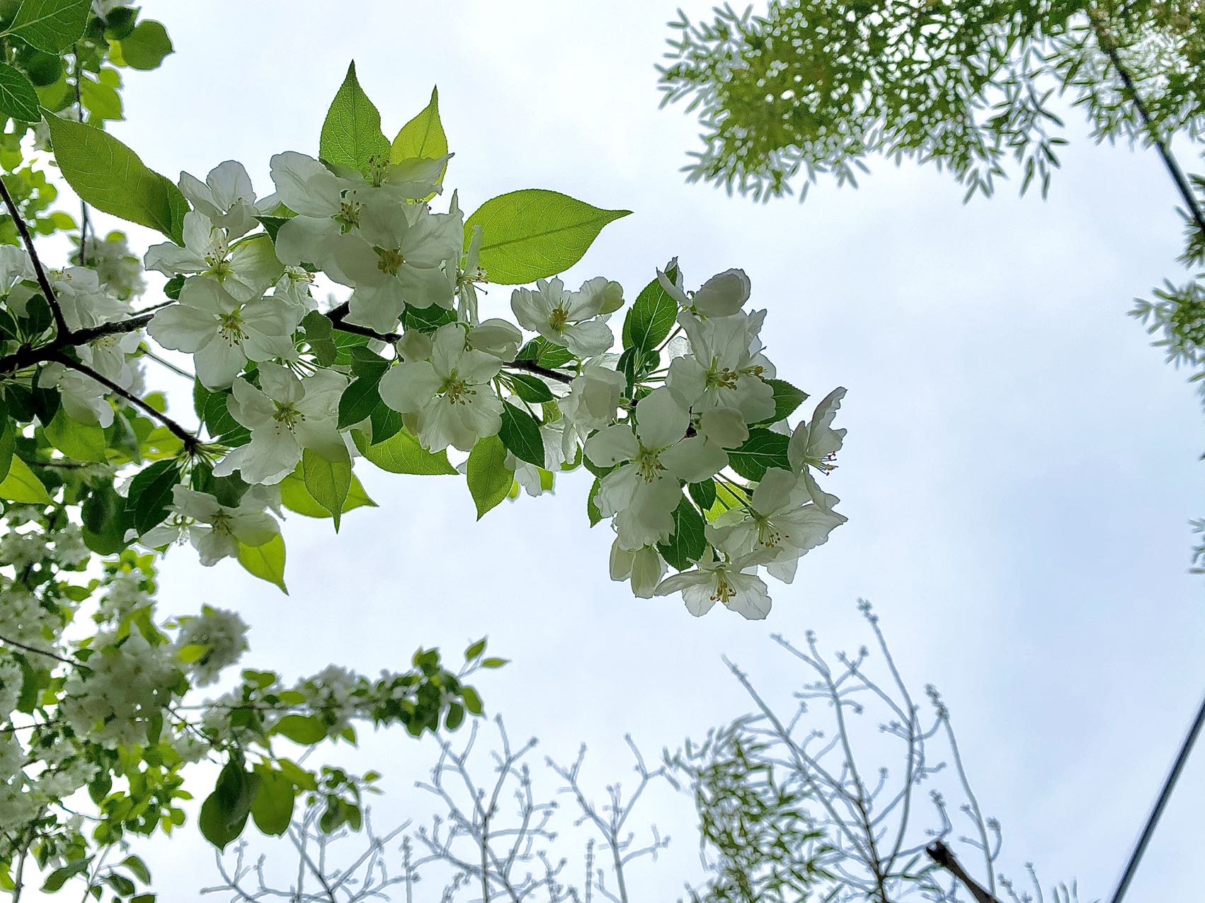 https://68test.oss-cn-beijing.aliyuncs.com/images/746/user/3788/images/2022/04/25/16508767318852.jpeg